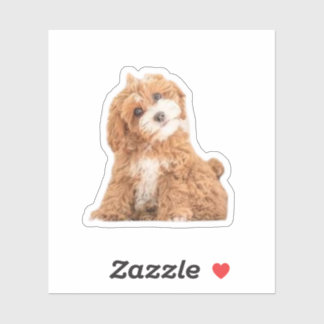 Cavapoodle Cockerpoo子犬デザイナードッグ シール