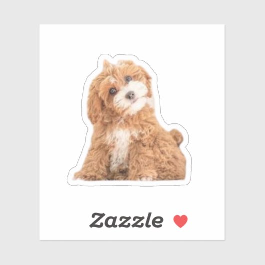 Cavapoodle Cockerpoo子犬デザイナードッグ シール (シート)