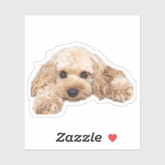 Cavapoodle Cockerpoo子犬デザイナードッグ シール (シート)