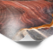 Cave in Petra, Jordan フォトプリント (角)