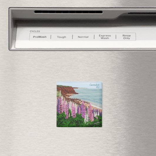 Cavendishの崖および春のルピナス属の正方形の磁石 マグネット (インサイチュ (食洗機))