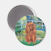 Cavlier (Ruby7) – ブリッジ マグネット (正面/裏面)