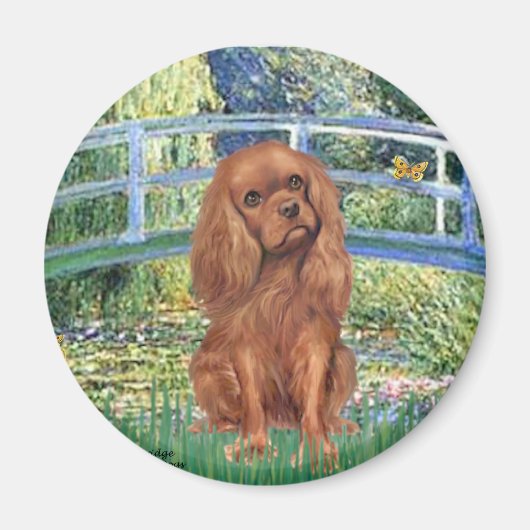 Cavlier (Ruby7) – ブリッジ マグネット (正面)