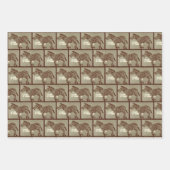 CBC 1966 – モノの自然プロモーション ラッピングペーパーシート (正面)