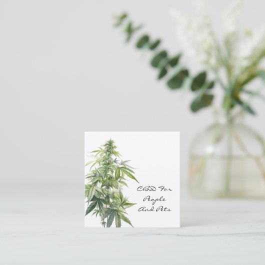 CBD水彩工場 スクエア名刺 (スタンド正面)