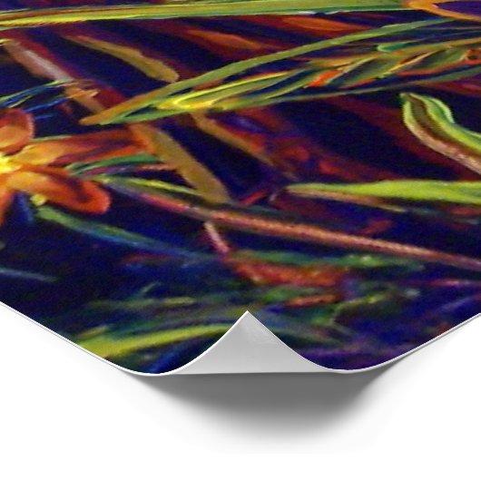 CBjork、BDazzled川 ポスター (角)