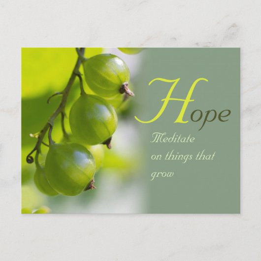 CC0330を成長させるもの瞑想 ポストカード (正面)