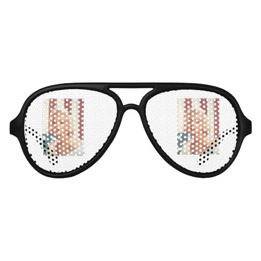 CC15マリリン国旗ZAZZ アビエーターサングラス (正面)