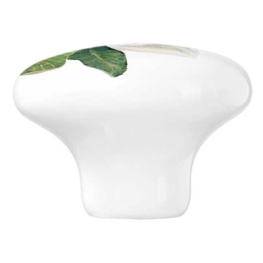 cc セラミックノブ (側面)