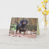 CC- - 「私達は」ダックスフントカードを恋しく思います カード (黄色い花)