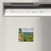 CCCオーバービュープティジャン マグネット (インサイチュ (食洗機))