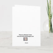 CDスタック カード (裏面)