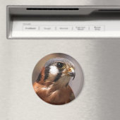 cd2 017 マグネット (インサイチュ (食洗機))