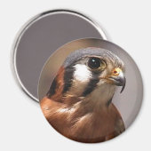 cd2 017 マグネット (正面/裏面)