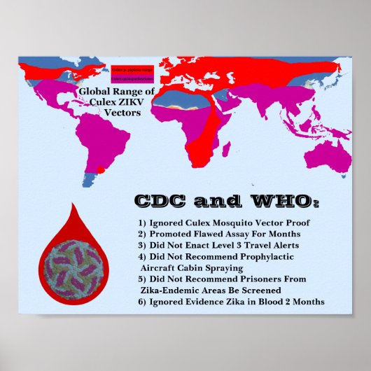 CDCとWHOがRoseWritesによって保護市民に失敗 ポスター (正面)