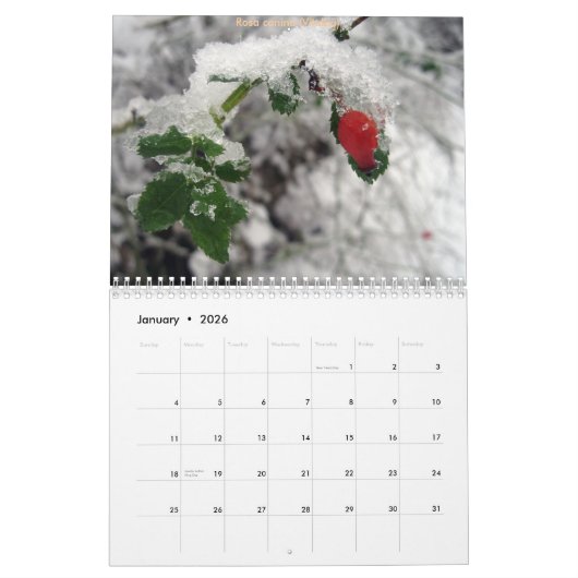 CdG 2010年 カレンダー (1月 2026)