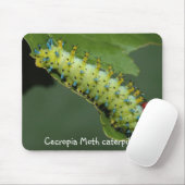 Cecropiaガの幼虫 マウスパッド (マウス)