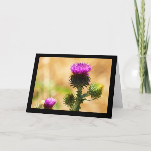 CEDA -アイダホTHISSLE -空白のなカード カード (正面)