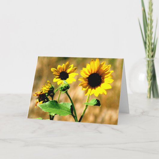 CEDA -ヒマワリ-空白のなカード カード (正面)