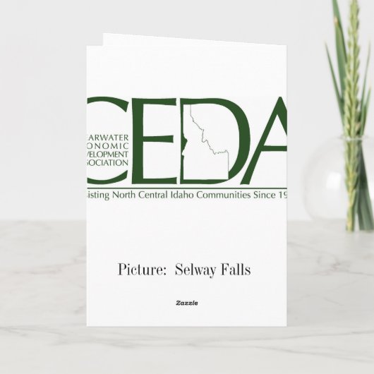 CEDA - Selwayの滝2 カード (裏面)