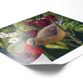 Cedar Waxwing in Raspberry写真プリント フォトプリント (角)