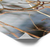 Cedar Waxwing In Winter Animal ポスター (角)