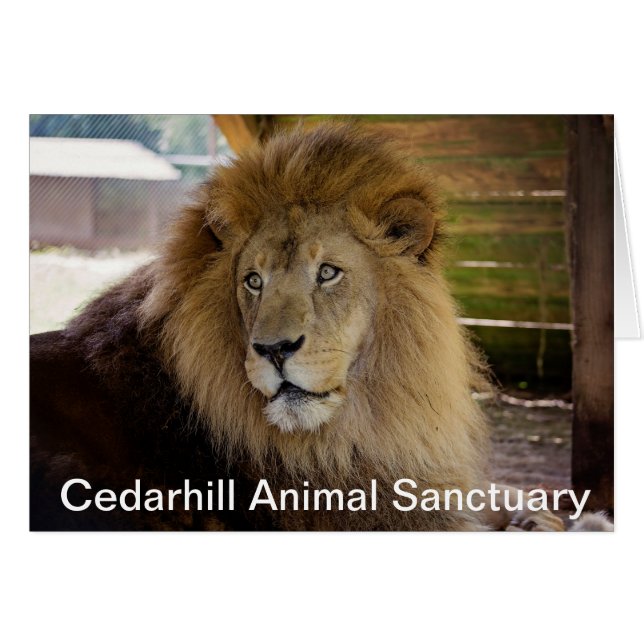 Cedarhillの動物の聖域カード (正面横)