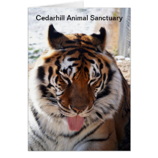 Cedarhillの動物の聖域カード