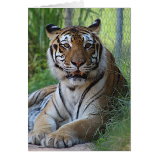 Cedarhillの動物の聖域カード