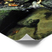 CedarRockFalls_100_026 ポスター (角)