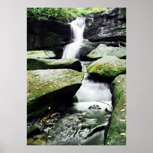 CedarRockFalls_100_026 ポスター (正面)