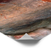 Cederberg Wilderness、Bushman Rock Artのサン ポスター (角)