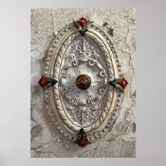 Ceiling Medallion ポスター (正面)