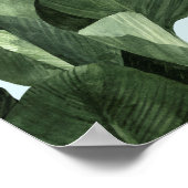 Celadon Palms ポスター (角)