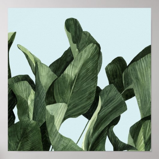 Celadon Palms ポスター (正面)