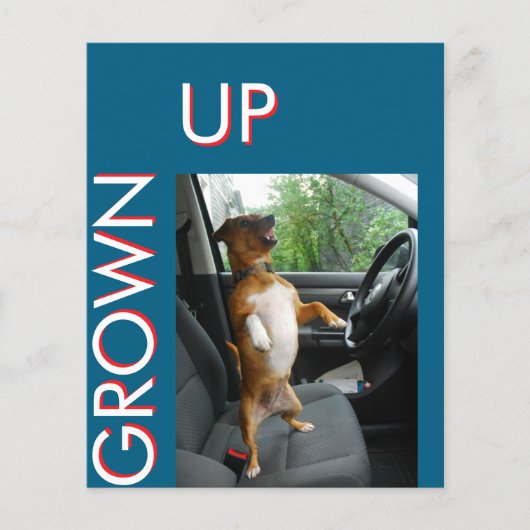 Celebrate turning 18 in style with this sleek birt チラシ (正面)