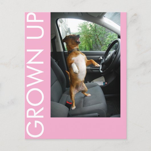 Celebrate turning 18 in style with this sleek birt チラシ (正面)