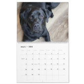 Celebrating Black Labs Labrador Dog Calendar 2026  カレンダー (3月 2026)