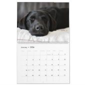 Celebrating Black Labs Labrador Dog Calendar 2026  カレンダー (1月 2026)