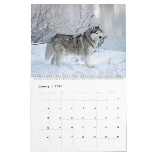 Celebrating Huskies Dog Wall Calendar 2026  カレンダー (1月 2026)