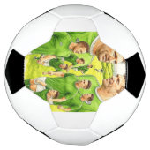 Celebrating Irish Football サッカーボール (回転)