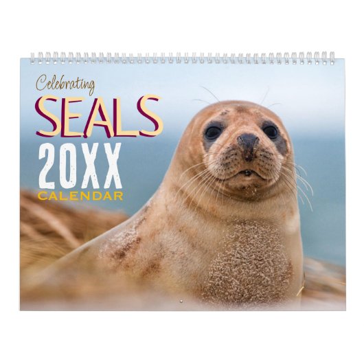 Celebrating Seals Wall Calendar 2026 Wildlife カレンダー (カバー)