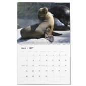 Celebrating Seals Wall Calendar 2026 Wildlife カレンダー (3月 2027)