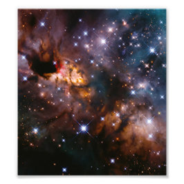 Celestial Prawn Drifting Through the Cosmic Deep フォトプリント