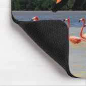 Celestunの生物圏の予備 マウスパッド (コーナー)