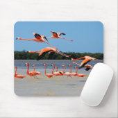 Celestunの生物圏の予備 マウスパッド (マウス)