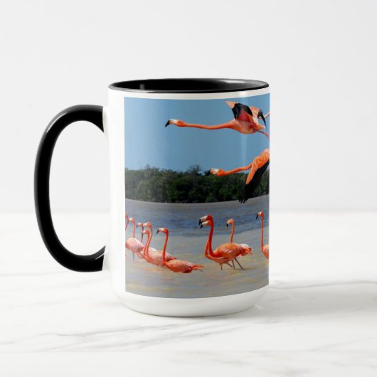 Celestunの生物圏の予備 マグカップ (左)