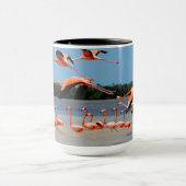 Celestunの生物圏の予備 マグカップ (中央)