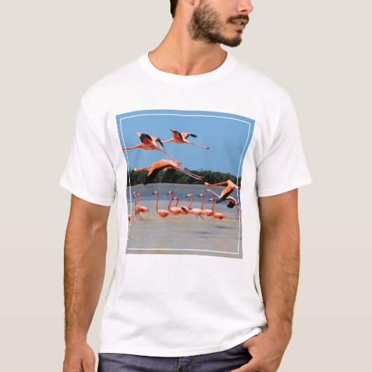 Celestunの生物圏の予備 Tシャツ (正面)