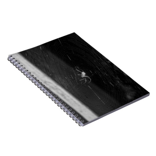 Cellar Spider ノートブック (右側)